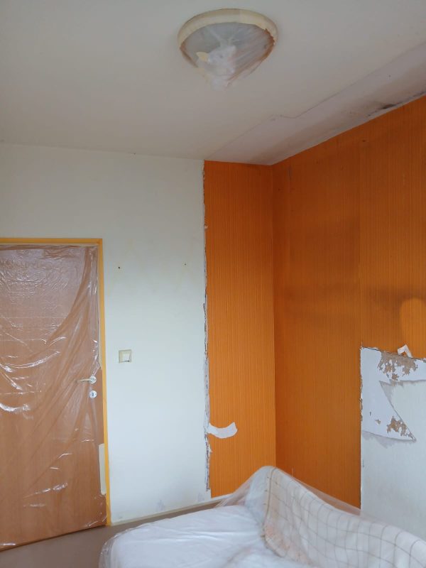 Wohnung2_Tapete entfernen