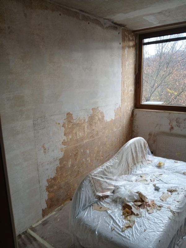 Wohnung3_Tapete entfernen